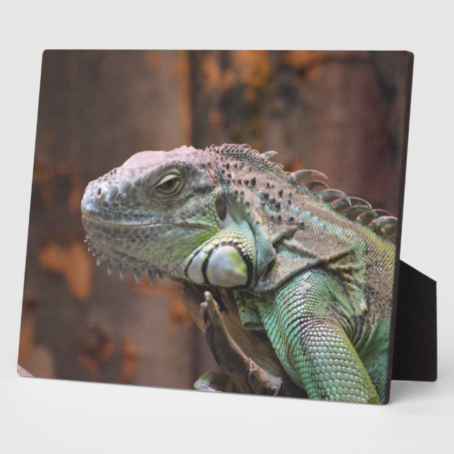 Plaque mit farbiger Iguana-Eidechse Fotoplatte (Seite)
