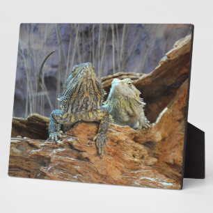 Plaque mit zwei seltsamen Eidechsen Fotoplatte