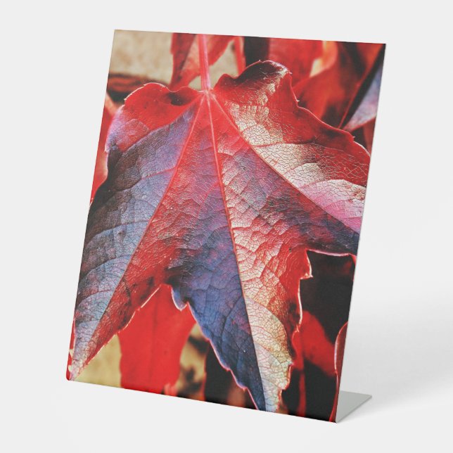 Plastikbodenzeichen 10"X12" Sockelschild (Vorderseite)
