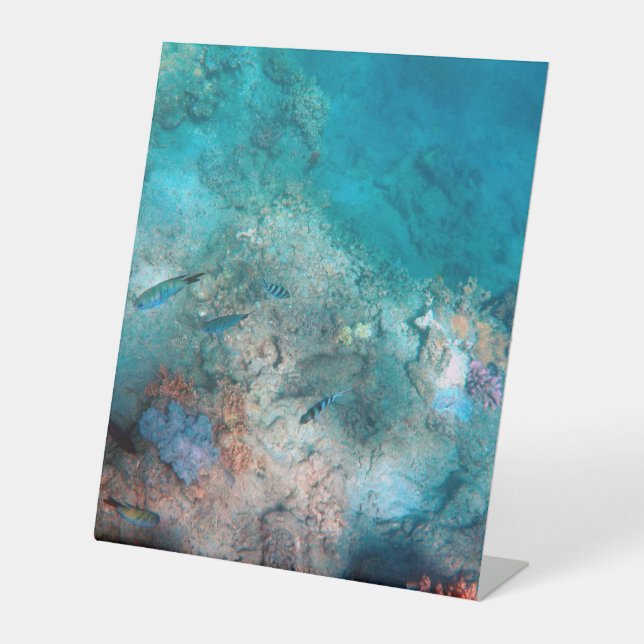 Plastikbodenzeichen 10"X12" Sockelschild (Vorderseite)