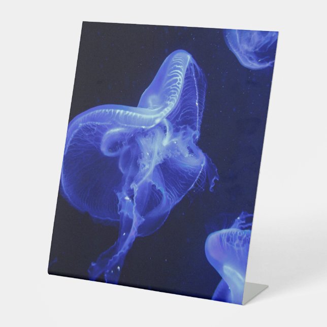 Plastikbodenzeichen 10"X12" Sockelschild (Vorderseite)