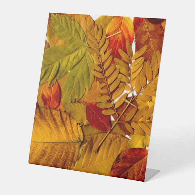 Plastikbodenzeichen 10"X12" Sockelschild (Vorderseite)