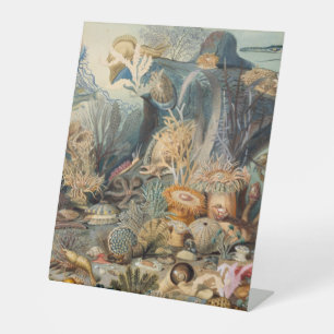 Plastikbodenzeichen 10"X12" Sockelschild