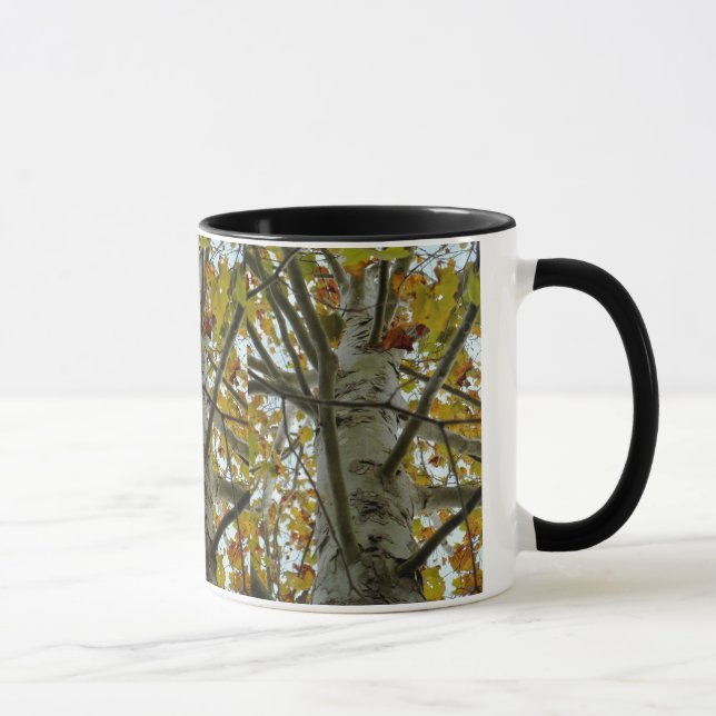 Platane-Baum-Tasse Tasse (Rechts)