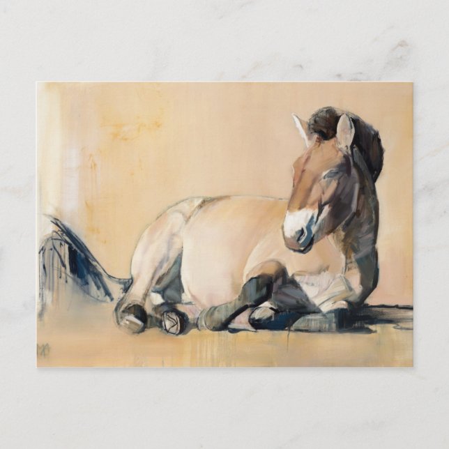 Plateau Sun Postkarte (Vorderseite)