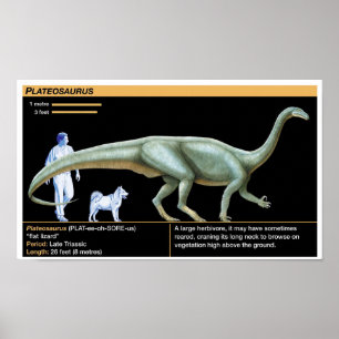 Plateosaurus - Biologie Jura Poster