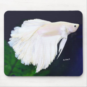 Platin Betta Fische Mousepad