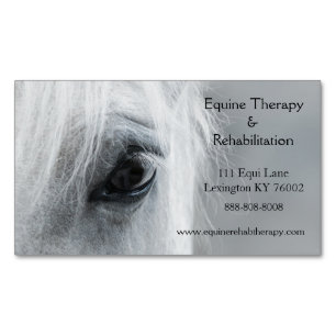 Platinum Equine personalisieren Business Card Magn Magnetische Visitenkarte
