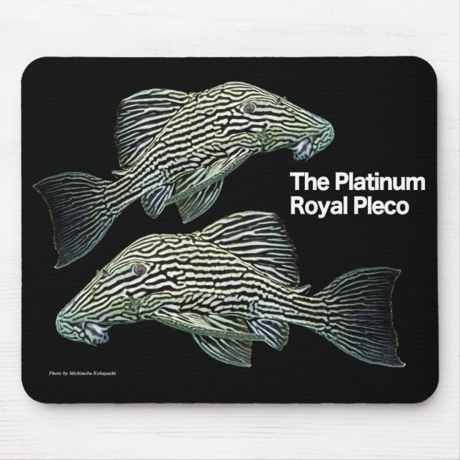 Platinum Royal Pleco Mousepad (Vorne)