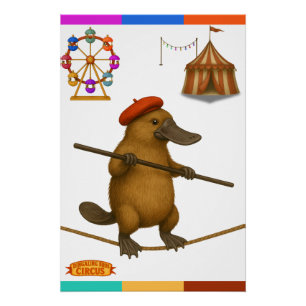 Plato Schnabeltier Seiltänzer Poster