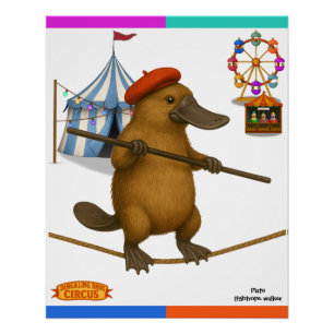Plato Schnabeltier, Seiltänzer Poster