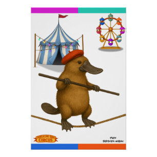 Plato Schnabeltier, Seiltänzer Poster