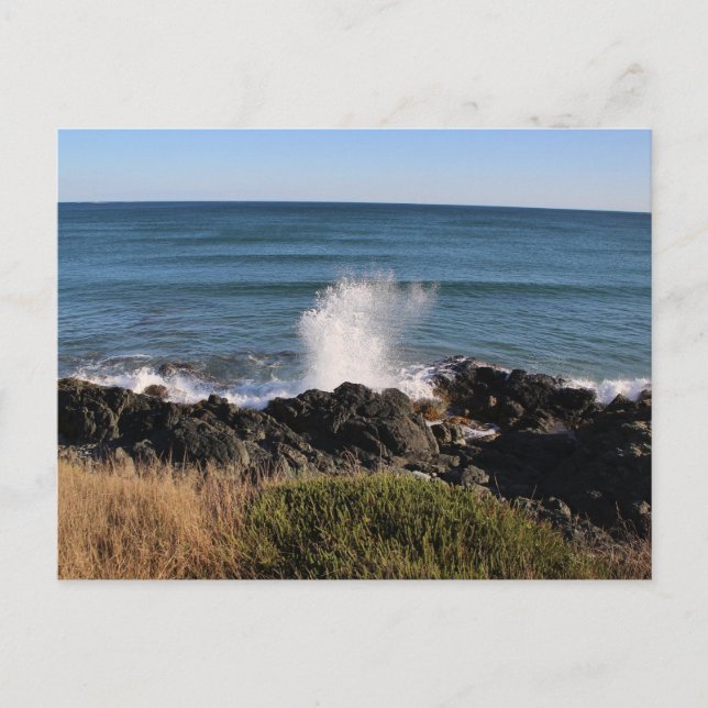 Platsch! Postkarte (Vorderseite)