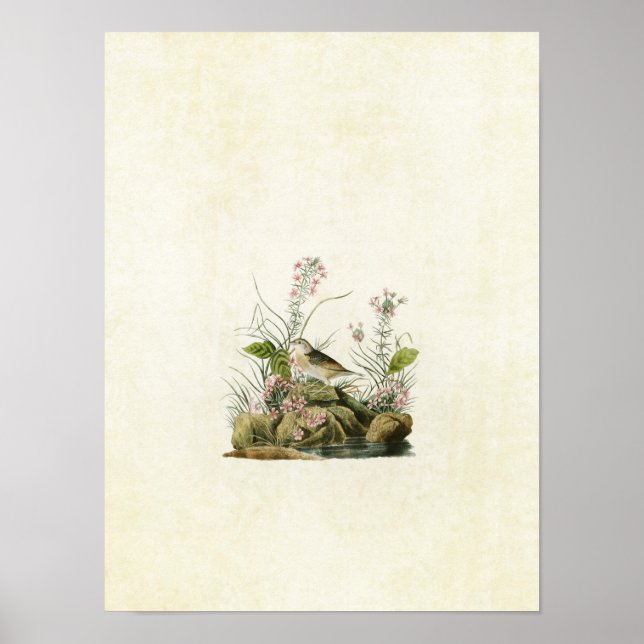 Platte 130 | Gelber Flügelzüchter Poster (Vorne)