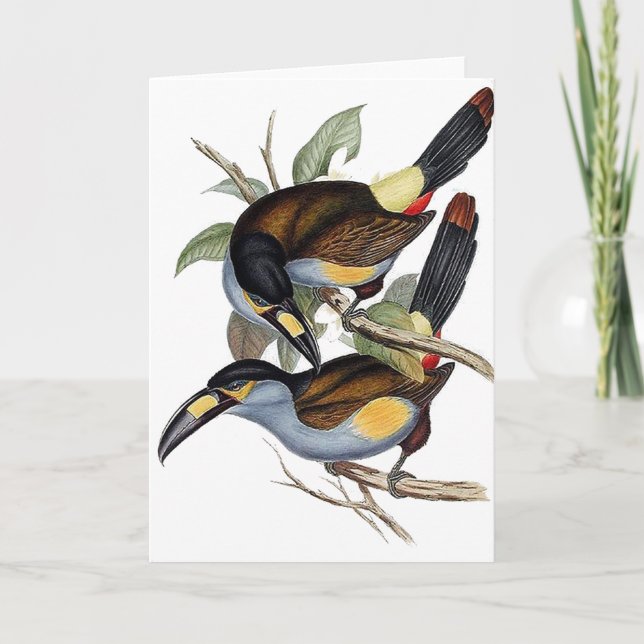Platte-berechneter Berg Toucan Karte (Vorderseite)