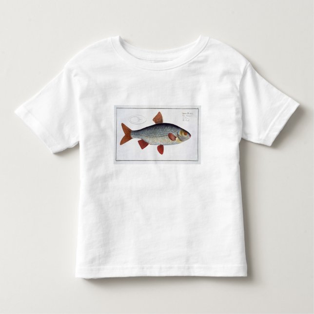Platte II der Hinterwelle (Cyprinus Rutilis) von Kleinkind T-shirt (Vorderseite)