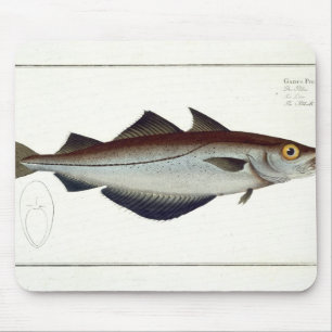 Platte LXVIII der Pollacks (Pollachius Pollachius) Mousepad
