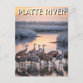 Platte River Sandhill-Kraniche Nebraska Reise Postkarte