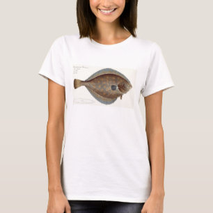 Platte XLII des Goldbutts (Pleuronectes Platessa) T-Shirt