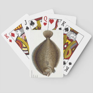 Platte XLIX des Steinbutts (Pleuronectes Maximus) Spielkarten
