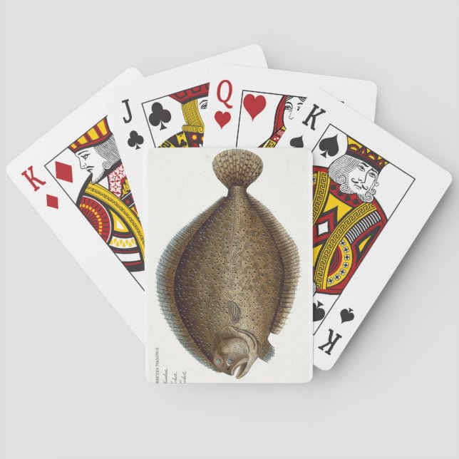 Platte XLIX des Steinbutts (Pleuronectes Maximus) Spielkarten (Rückseite)