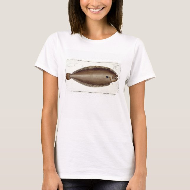 Platte XLV von "Ichthyol" (Solea Solaea) T-Shirt (Vorderseite)
