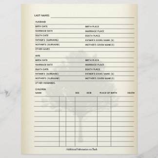 Platten Genealogische Darstellung