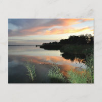 Plattensee