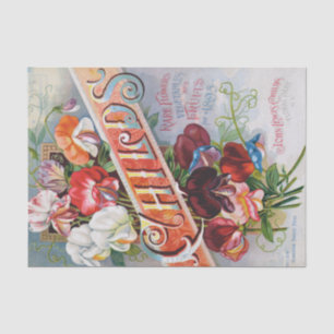 Platterbsen des Vintagen Papiers für Druckgewebe a Seidenpapier