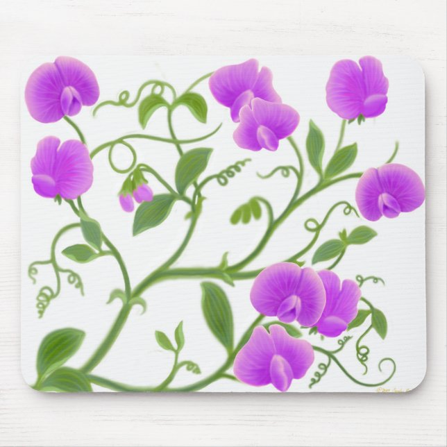 Platterbsen in lila Mousepad (Vorne)