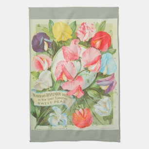 Platterbsen: Katalogillustration des Samens 1906 Handtuch