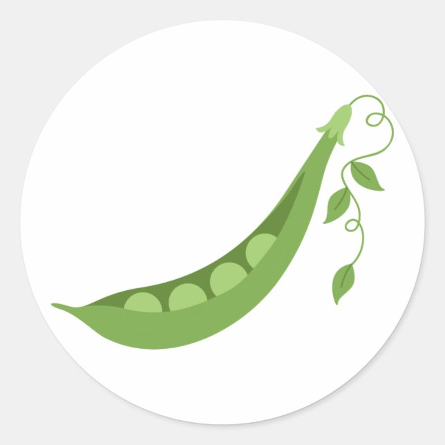 Platterbsen Runder Aufkleber (Vorderseite)