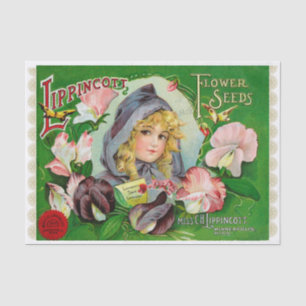 Platterbsen Saatkatalog 1908 Blume Seidenpapier