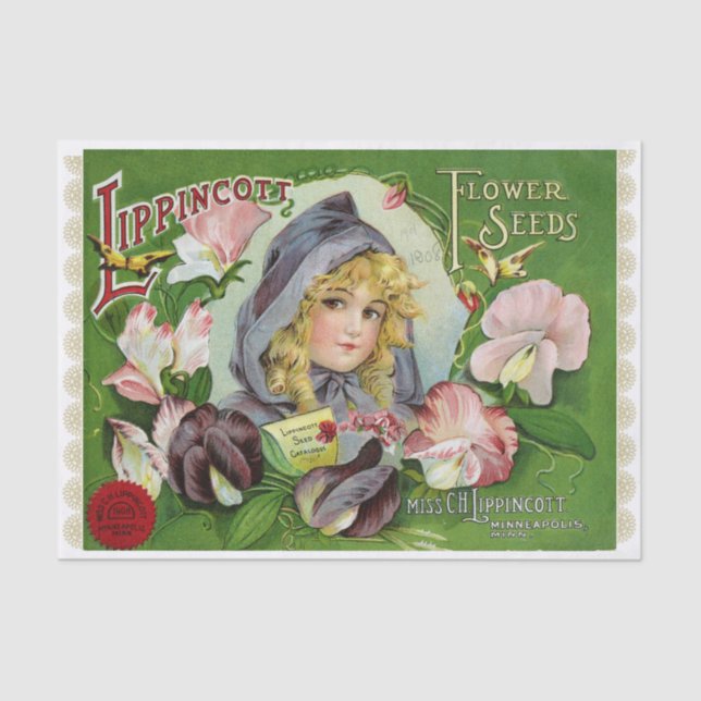 Platterbsen Saatkatalog 1908 Blume Seidenpapier (Vorderseite)