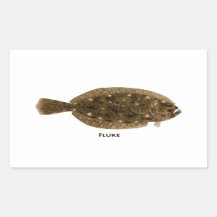 Plattfisch Rechteckiger Aufkleber
