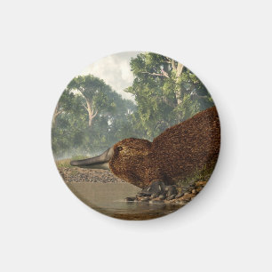 Platypus auf dem Ufer Magnet