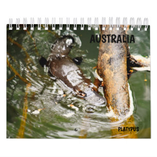PLATYPUS AUSTRALIEN KALENDER