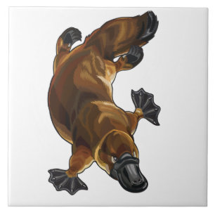 Platypus Fliese