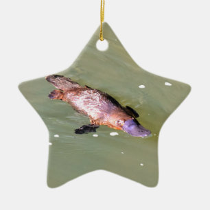 PLATYPUS IM WASSER EUNGELLA AUSTRALIEN KERAMIK ORNAMENT