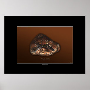 PLATYPUS PATHS Art Poster