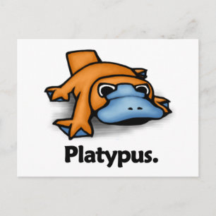 Platypus Platypus Postkarte