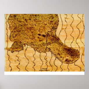 Platypus Poster