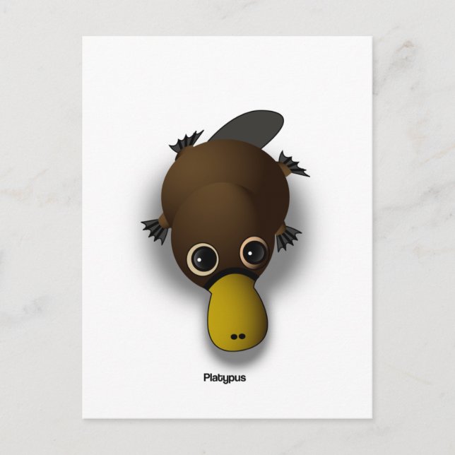 Platypus Postkarte (Vorderseite)