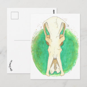 Platypus Skull Postkarte