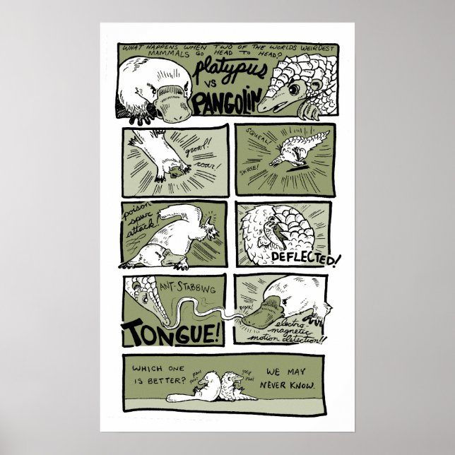Platypus vs. Pangolin Poster (Vorne)