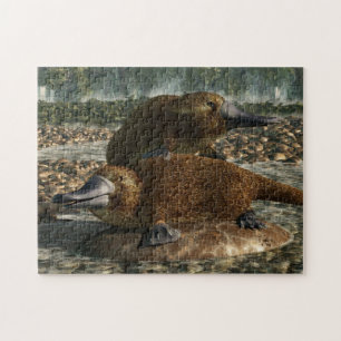 Platypuses Puzzle