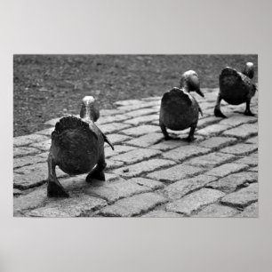 Platz für Ducklings machen Poster