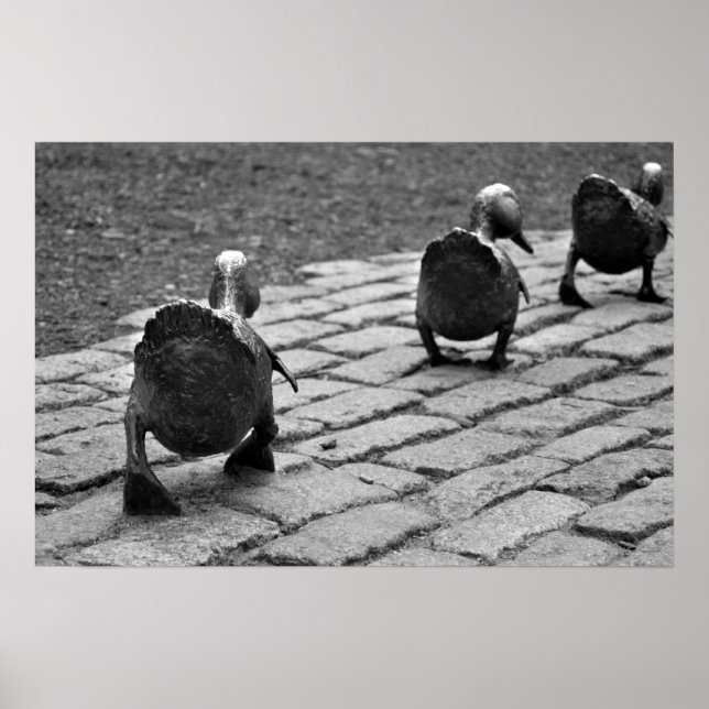 Platz für Ducklings machen Poster (Vorne)