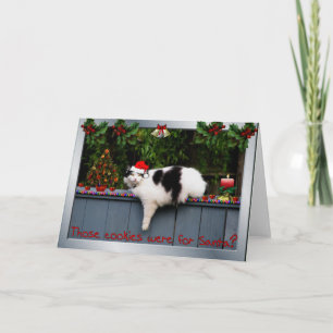 Plätzchen-liebevolle Katze Feiertagskarte