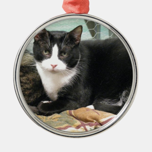 Plätzchen Silbernes Ornament (Vorne)